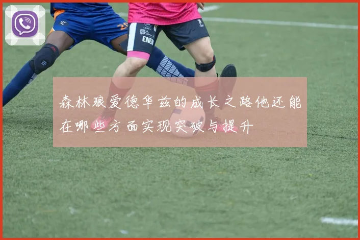 森林狼爱德华兹的成长之路他还能在哪些方面实现突破与提升